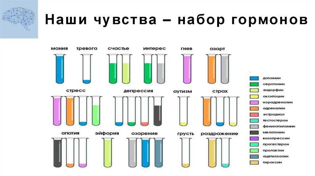 Вот что такое эмоции... У машин этого быть не может!