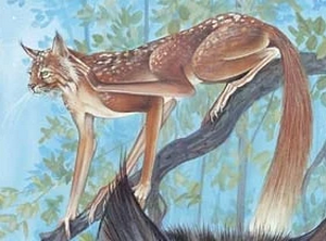 Красивая молодая кошь...