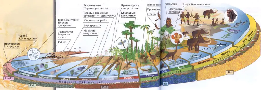 Вот примерно так это и шло на Земле...