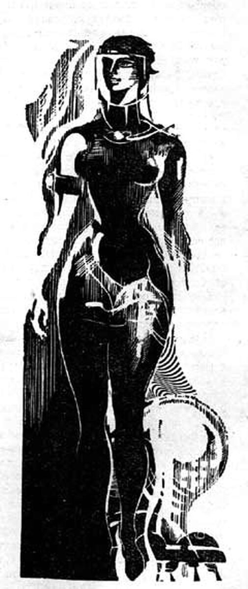 Толковых изображений скафандров нет, но вроде, они были реально очень хорошими и прочными...