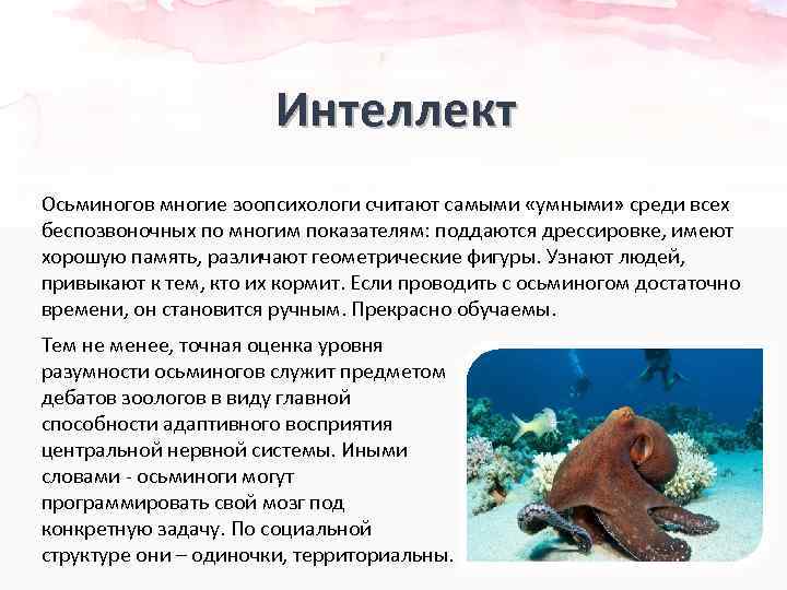 Вот - разве это не интересно?