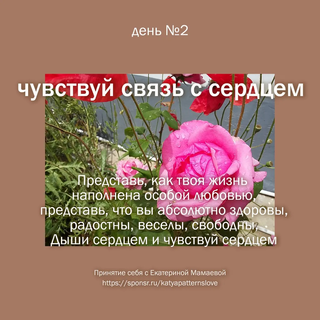 Вдохновение для сердца и души