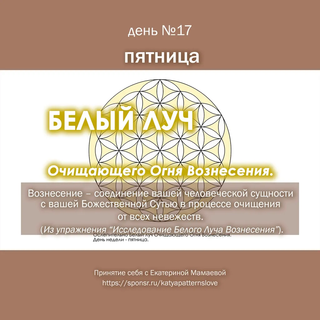 День 17 — пятница