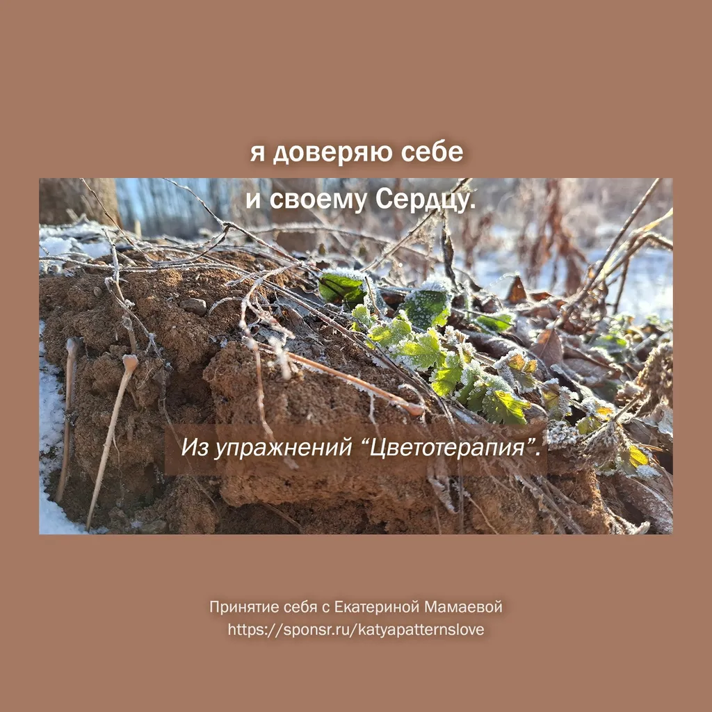 Настроения из Цветотерапии: я доверяю себе и своему Сердцу.