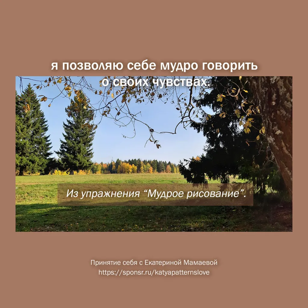 Я позволяю себе: Мудро
говорить о своих чувствах.