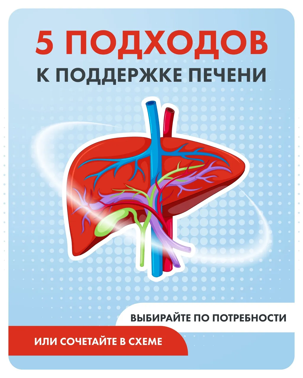 Это наша печень. Она — настоящий супергерой организма, но у каждого супергероя есть предел. И когда он достигается, последствия могут быть необратимыми.
