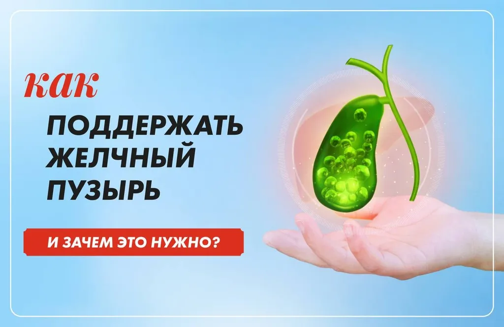 Думаете,
проблемы с желчным пузырём — это только про острую боль в правом боку? На самом
деле тревожные симптомы часто маскируются под «обычное несварение»: тяжесть
после еды, горечь во рту, вздутие. Многие годами игнорируют эти сигналы, рискуя
запустить процессы, которые потом придётся долго корректировать.