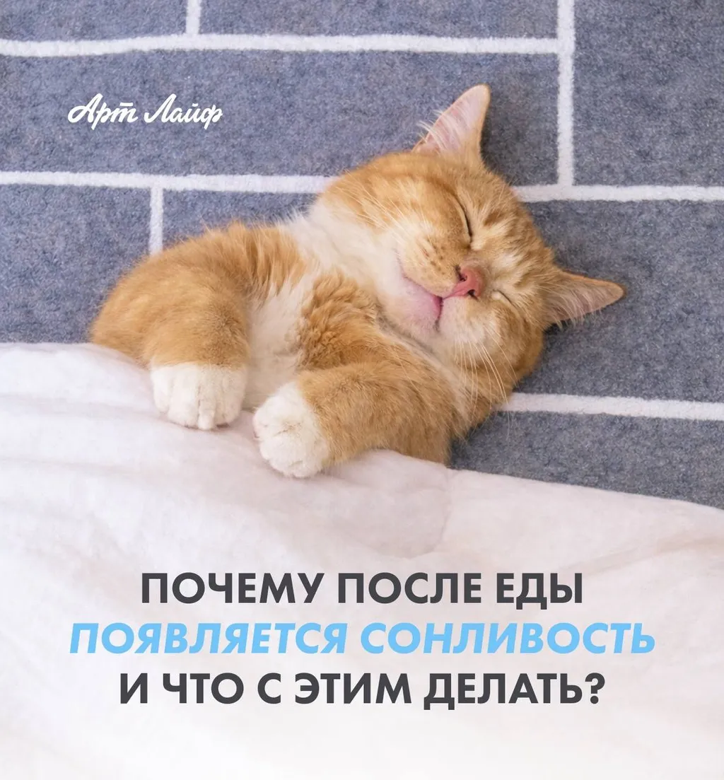 Почему после еды хочется спать: разбираем причины и ищем решения