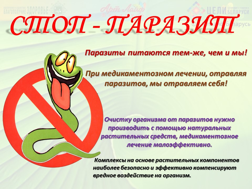 В практике нутрициолога часто встречаются ситуации, когда дефициты питательных веществ у клиента оказываются неоднозначными. Не всегда причина кроется только в неправильном питании или недостатке определенных продуктов. Иногда наличие паразитов становится скрытой, но решающей преградой на пути к здоровью.