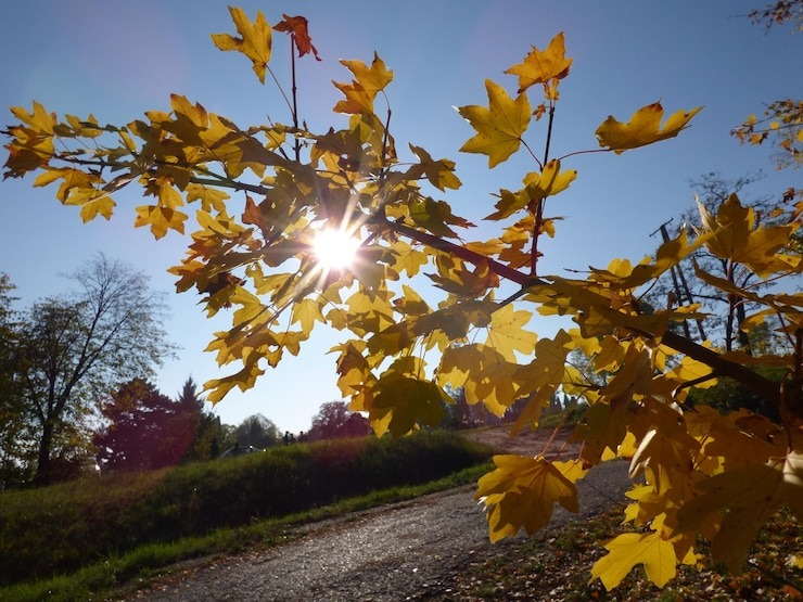 «Тактика малых групп» — осень 2022-го и 2025-го