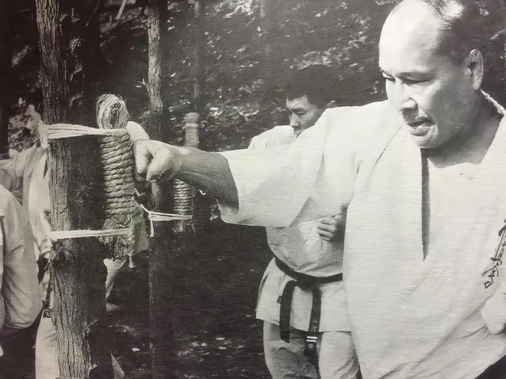 Закалка ударных поверхностей является обязательным упражнением в традиционном каратэ