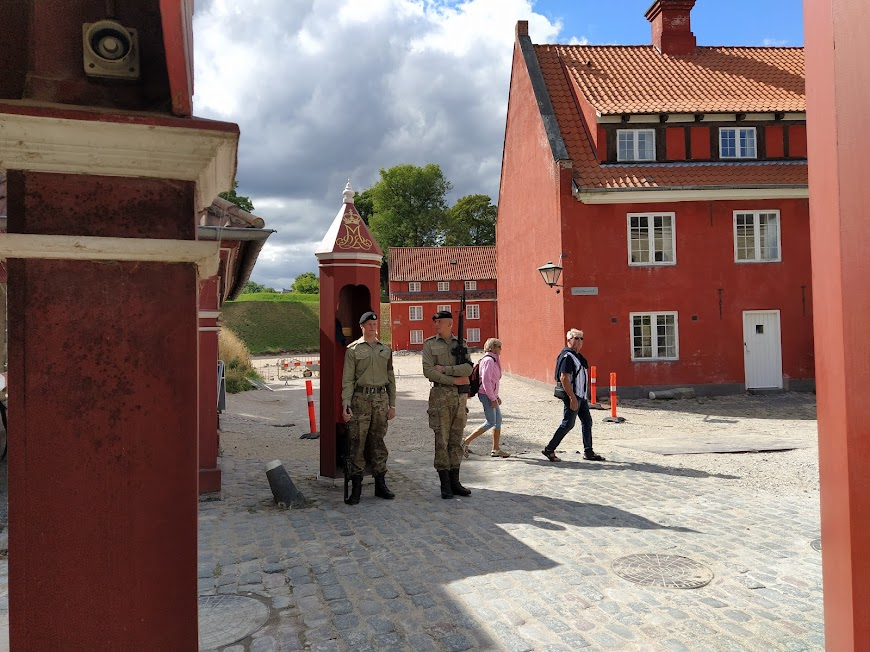 Фото Владимира Тулина.