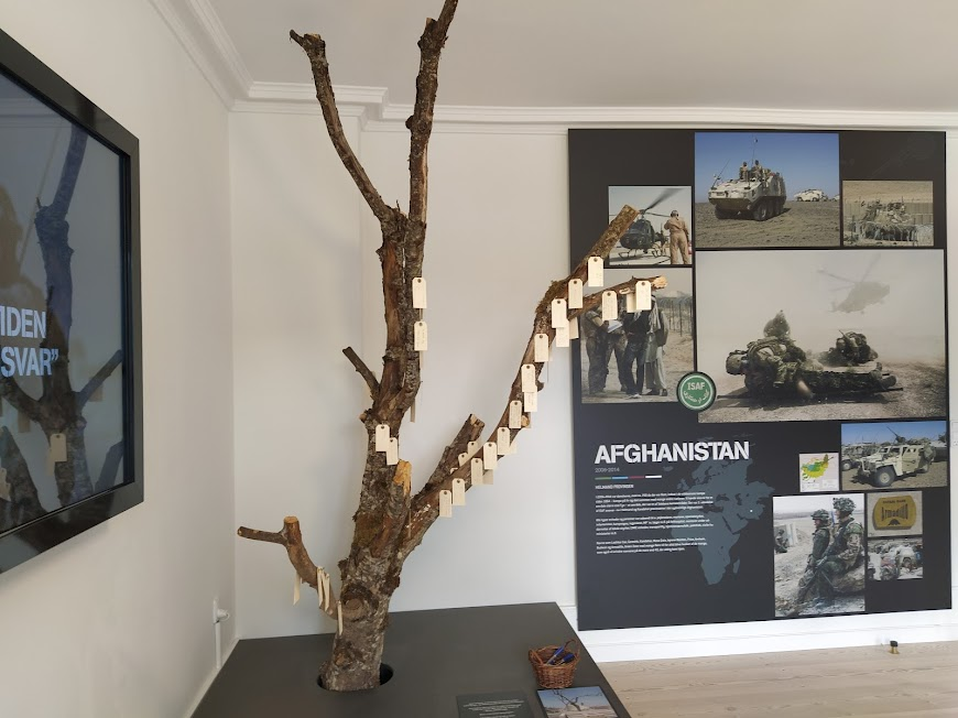 Фото Владимира Тулина.