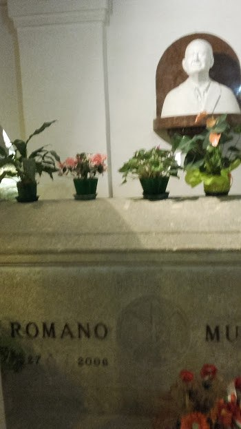 Фото Владимира Тулина.