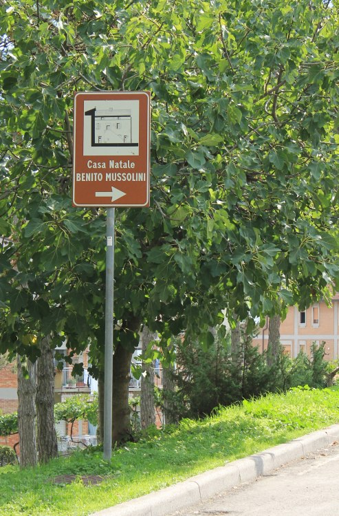 Фото Владимира Тулина.