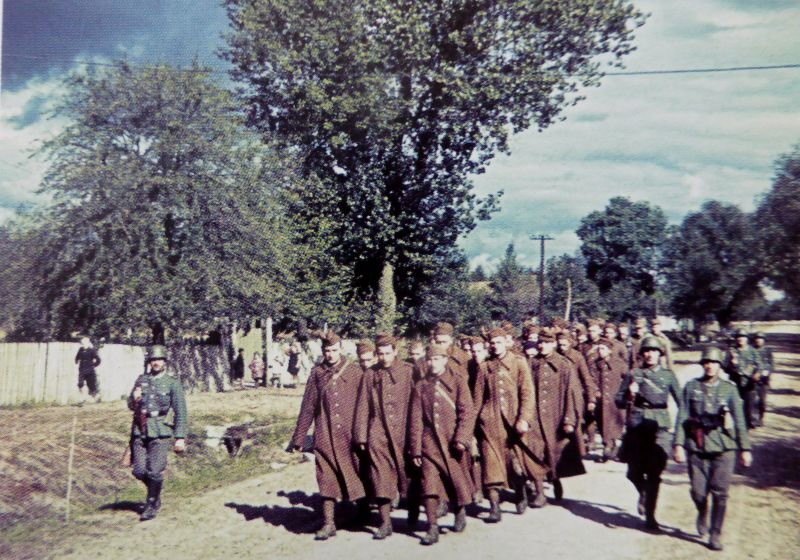 Немецкие солдаты конвоируют польских военнопленных.