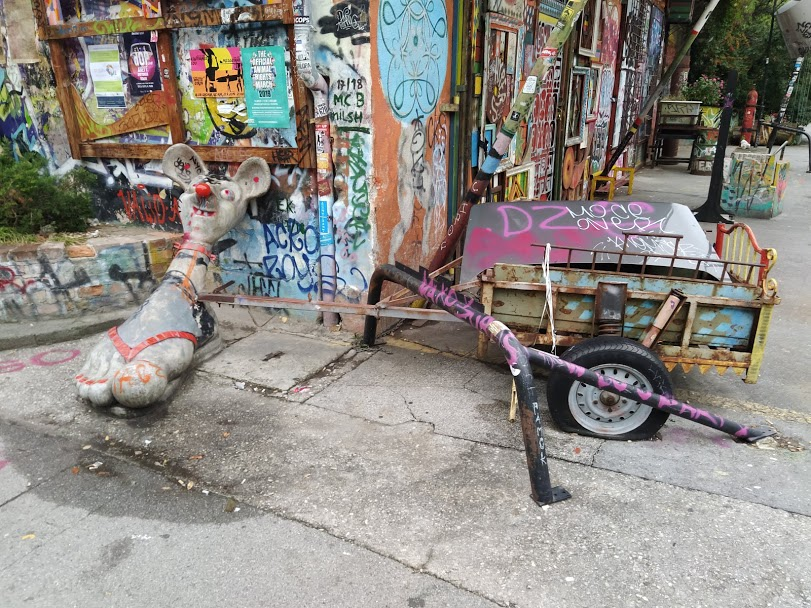 Фото Владимира Тулина.