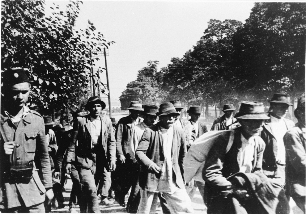 Сербы и цыгане конвоируются усташами в концлагерь.