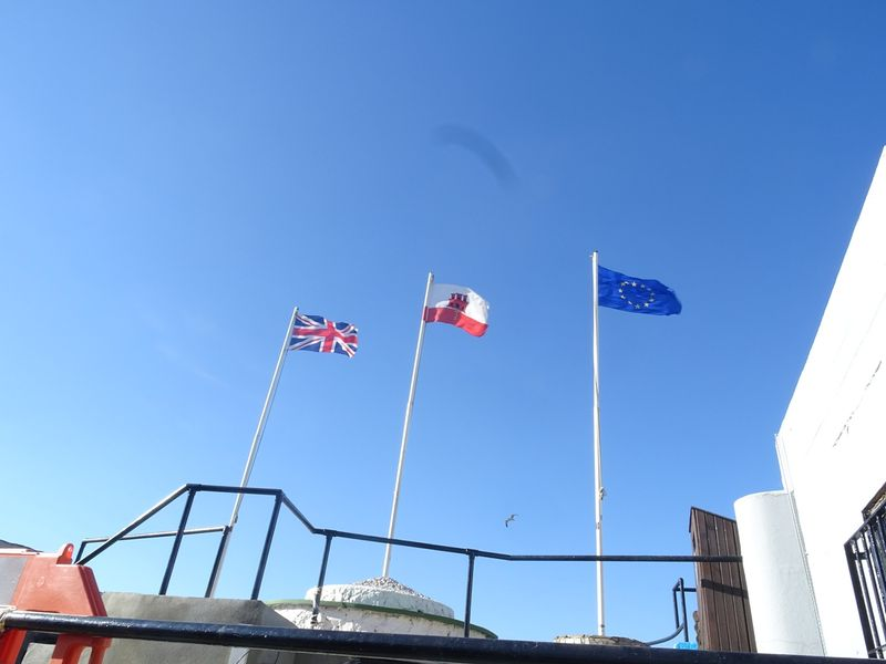 Фото Владимира Тулина.