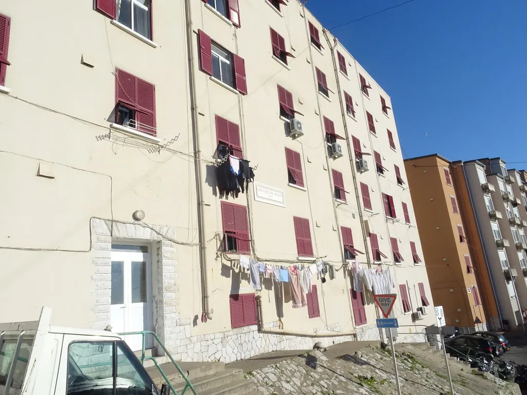 Фото Владимира Тулина.