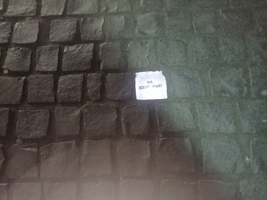 Фото Владимира Тулина.