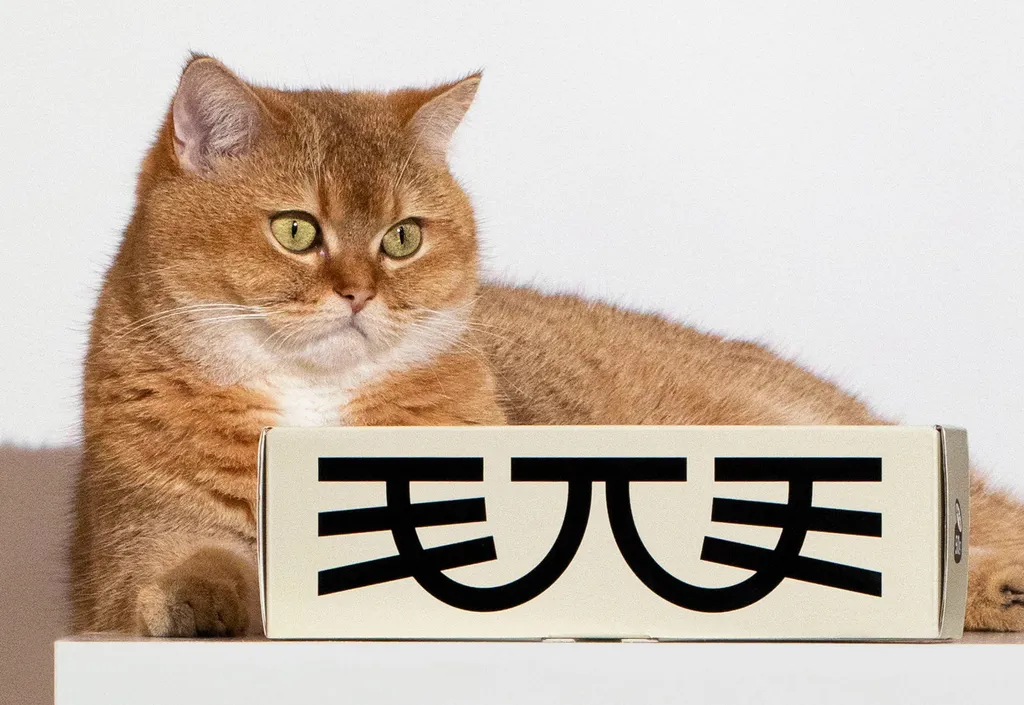 5 дизайн-студий из Китая, за которыми стоит следить