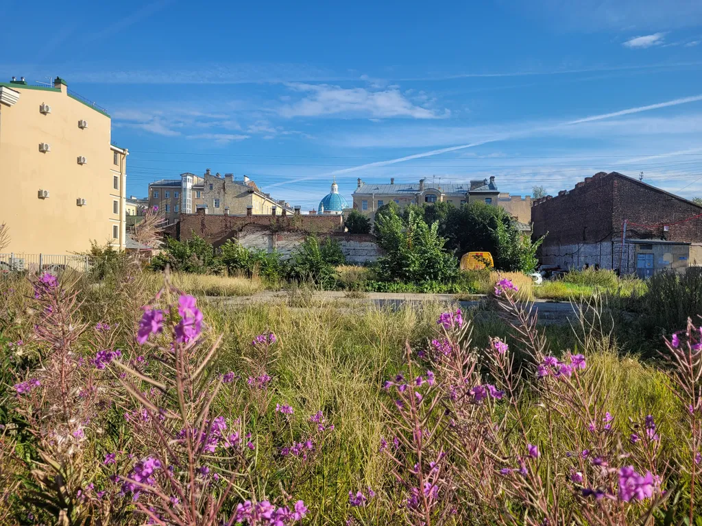 Центр Питера. 19 августа 2025 года.