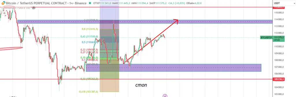 Держу лонг по битку +6 долларов