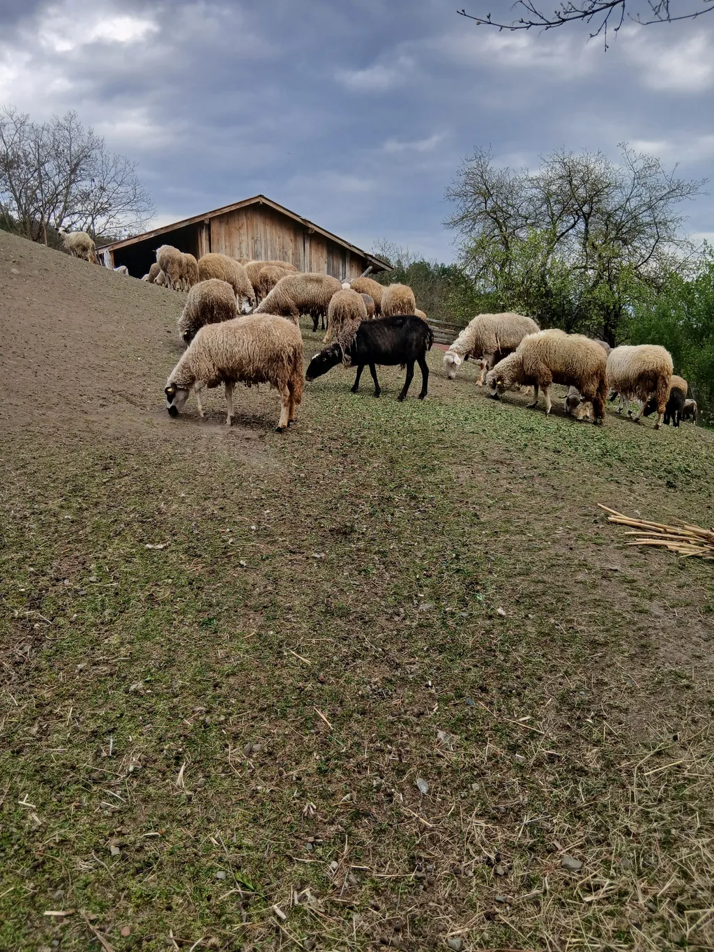 Сербское село недалеко от города Рашка