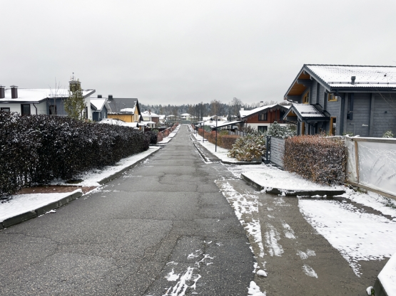 Отзыв о коттеджном поселке Новолеоново на Новорижском шоссе