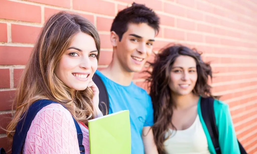 Большая подборка про Амбассадорство