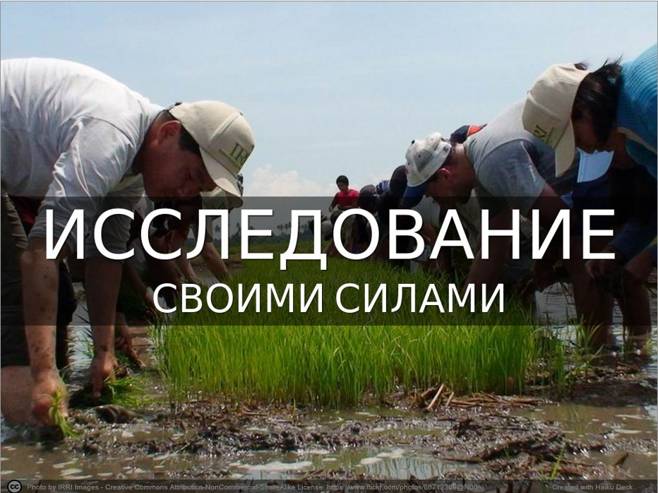 Проведение исследования своими силами