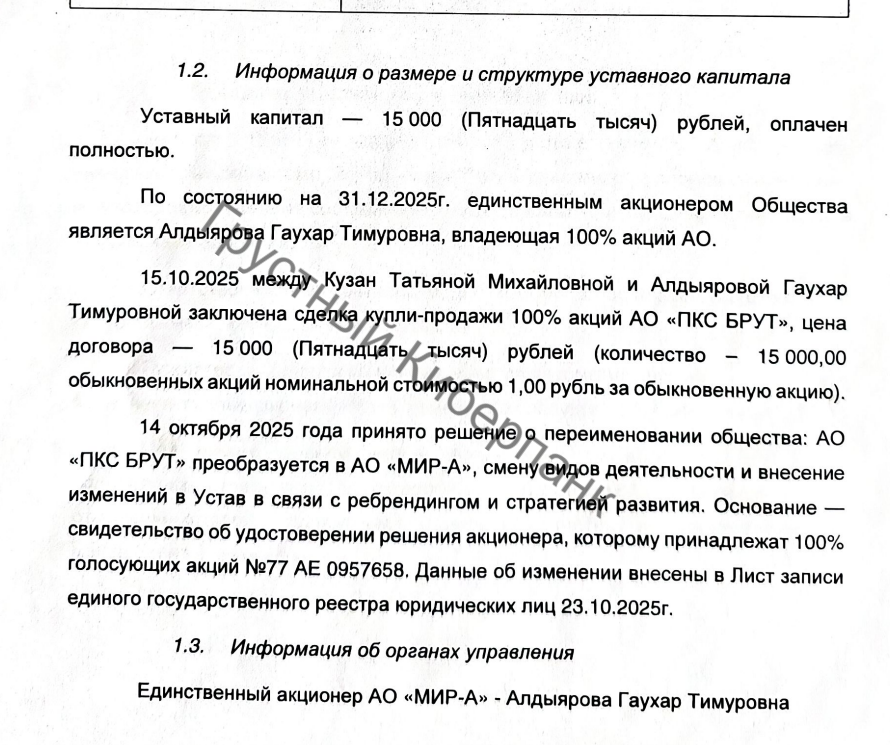 Выходцы из «Лесты» ищут 3,6 млрд руб. на «Мир Дронов»