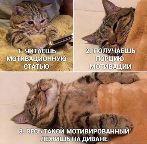 Математика мотивации к изменениям