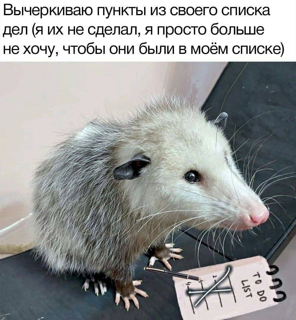 Суббота рабочая - как еще одна пятница