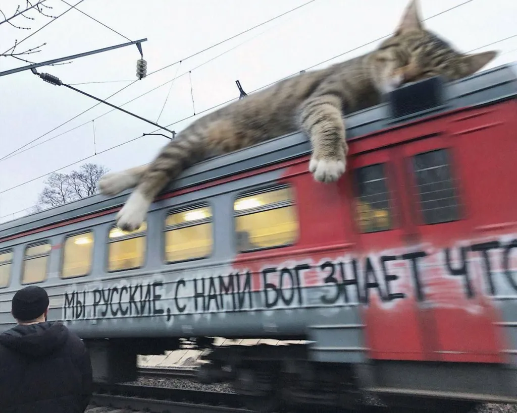 О текущем моменте