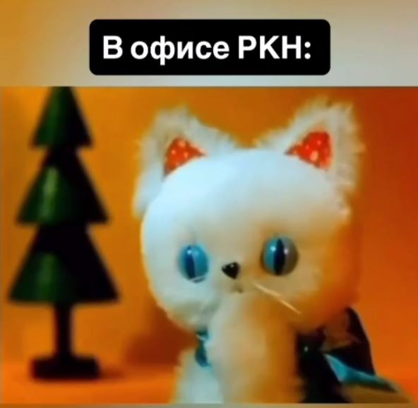 Ну и чё, ну и где?