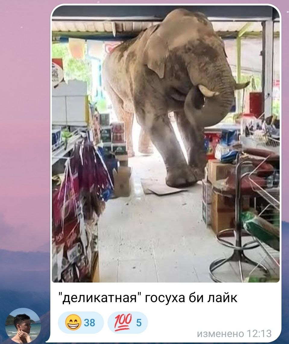 Про Инстаграм* как дикое поле