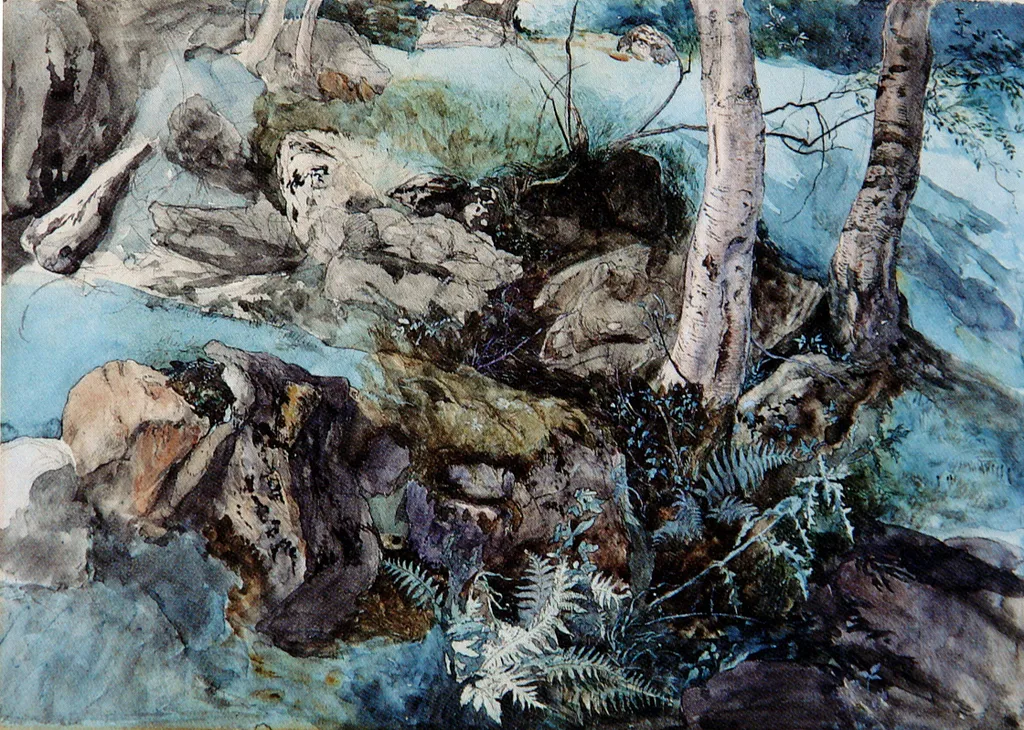 Изучение горных пород и папоротников Джон Рёскин1843, 29.4×40.6 см