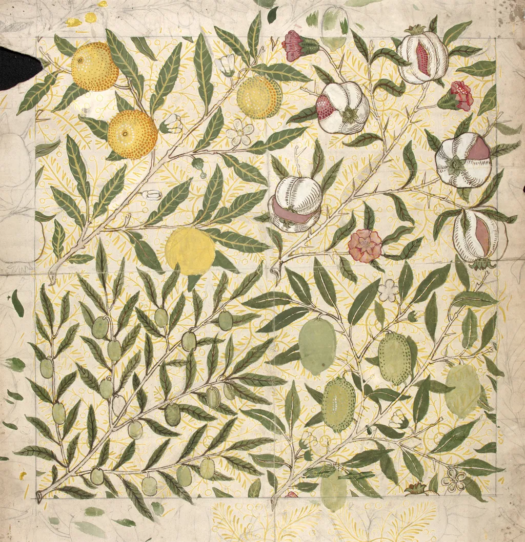 Ветки с фруктами. Эскиз Уильям Моррис1862