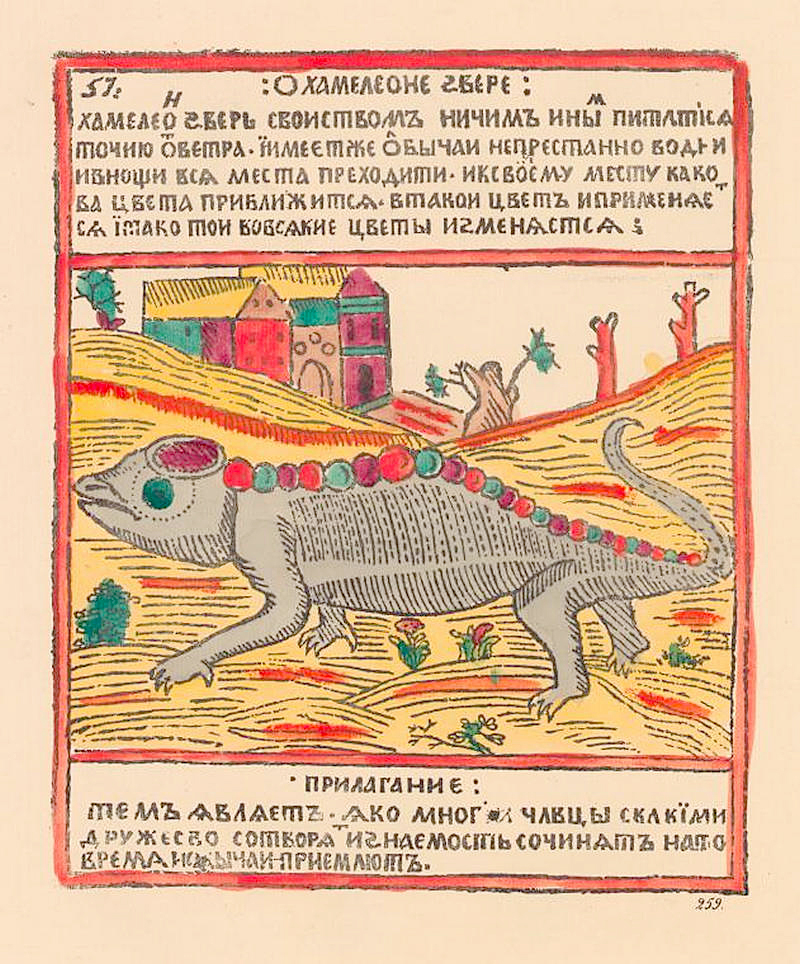 Изображение хамелеона.