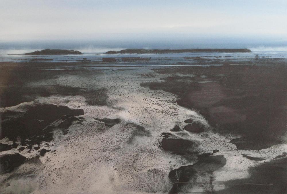 Naomi Tydeman