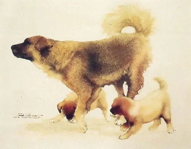 Lin Shun-Shiung